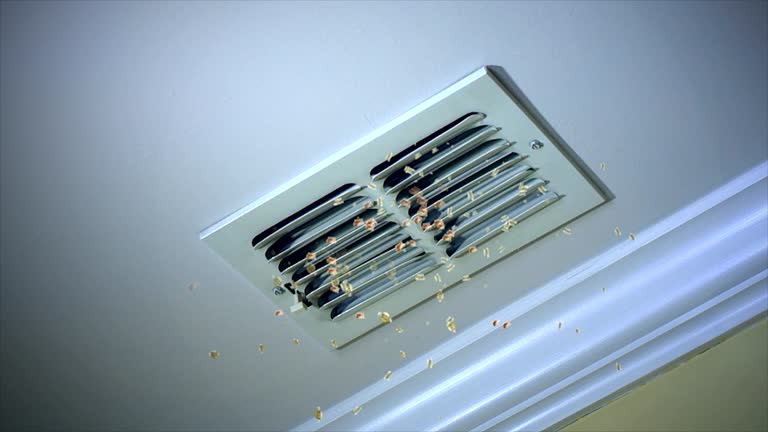 Best Air Duct Cleaning Near Me  in Westminster, LA