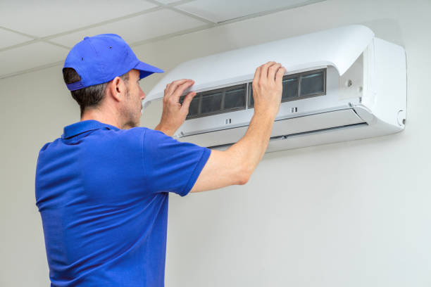 Air Duct Mold Removal in Westminster, LA