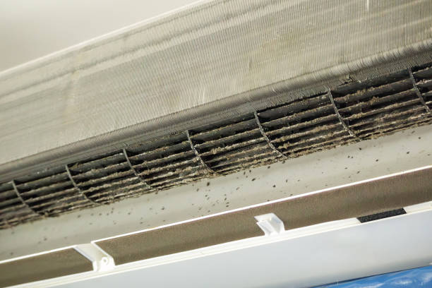 Best Affordable HVAC Duct Cleaning  in Westminster, LA